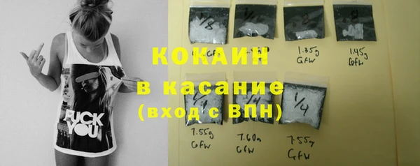 стаф Артём